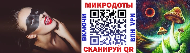 Купить где Покачи Галлюциногенные грибы Psilocybine cubensis
